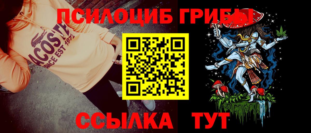 Псилоцибиновые грибы мицелий Шелехов