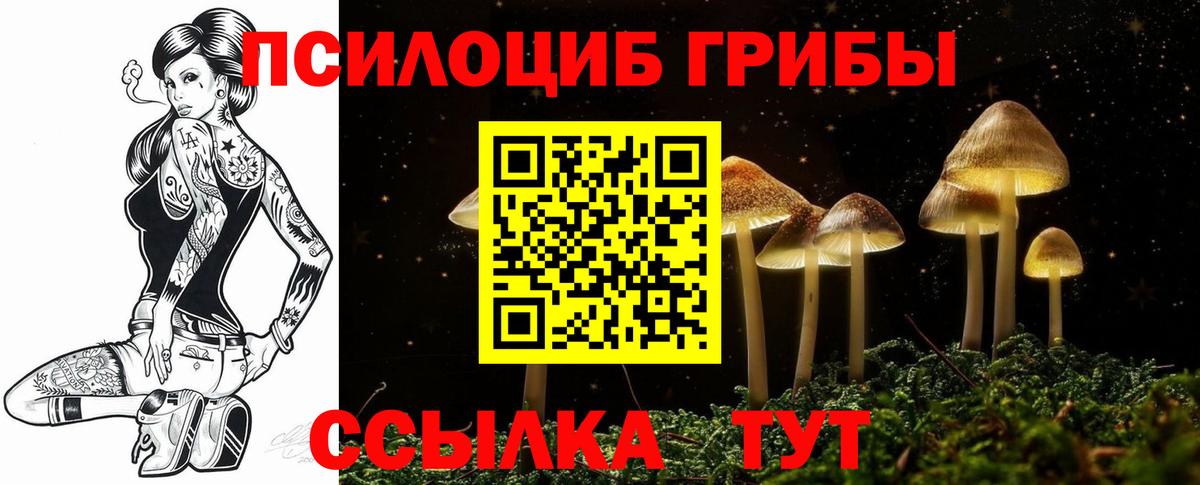 Шелехов  Псилоцибиновые грибы прущие грибы  Галлюциногенные грибы прущие грибы  Вход с VPN 